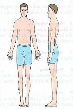 ectomorph