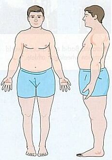 endomorph