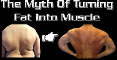 fat into muscle